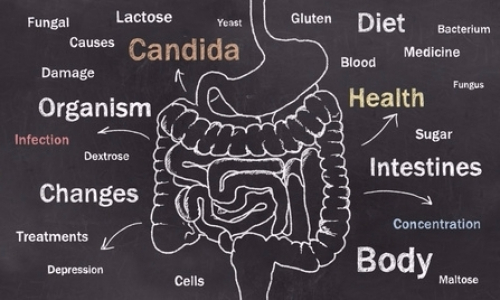 IBS Leaky Gut