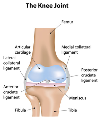 prolotherapy injections