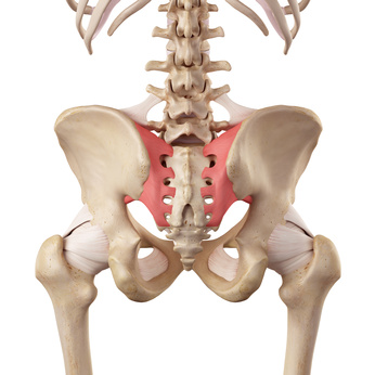 Sacroiliac SI joint dysfunction