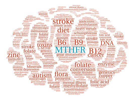 MTHFR methylation